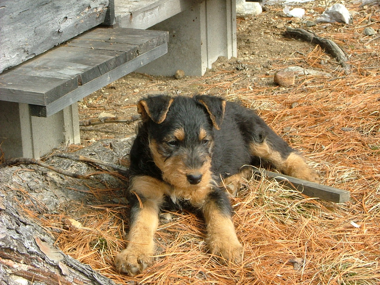 Lucy