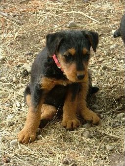 Molly